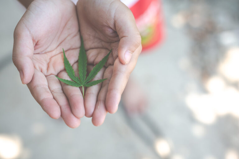 cbd for heart problem