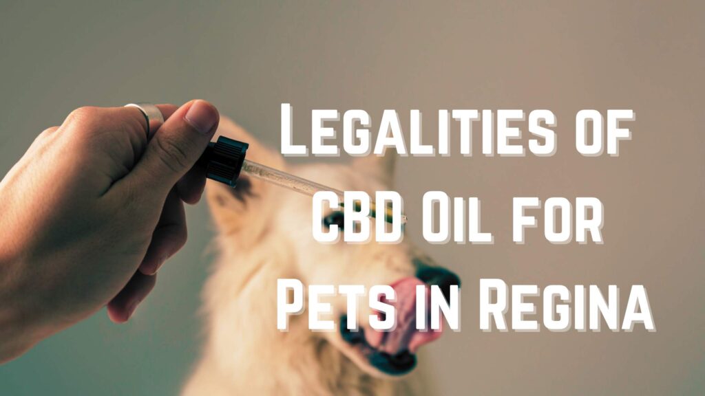 Legalities of CBD Oil for Pets