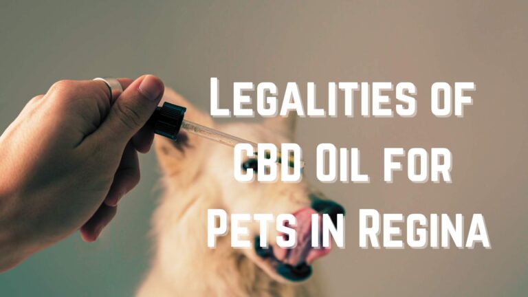 Legalities of CBD Oil for Pets