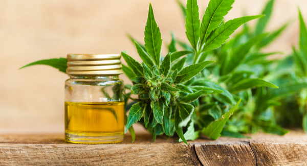 CBD Oil vs. CBD Tinctures