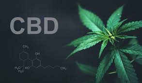 CBD and Brain Chemistry