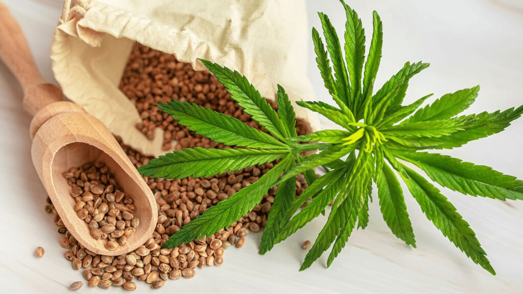CBD and Brain Chemistry